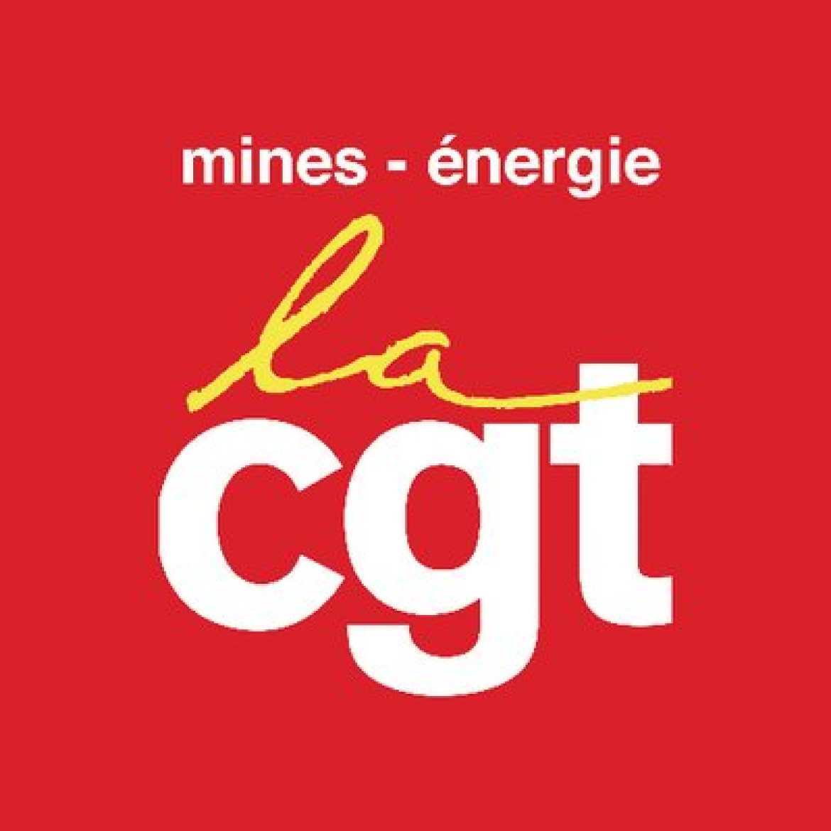 Logo Fédération Nationale des Mines et de l'Energie CGT - FNME